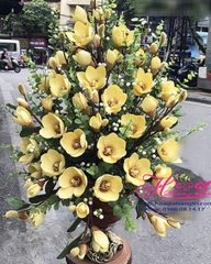 Bình hoa mộc lan HCB281