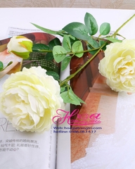 Cành trà trắng HC231