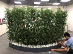 Trúc quân tử  giả