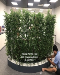 Trúc quân tử  giả