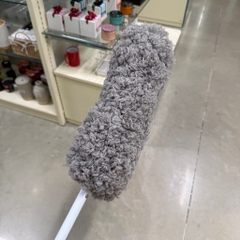 Cây lau bụi phất trần L1