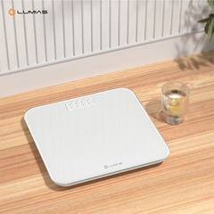 Cân điện tử Lumias Scale G25