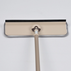 Cây lau kính C5