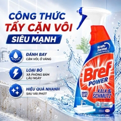 Xịt vệ sinh chống cặn canxi và bụi bẩn BREF POWER TR66