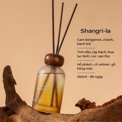 Tinh dầu thơm Donglai 250ml