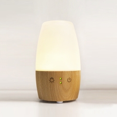 Đèn xông tinh dầu XJ122