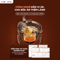 Nồi nấu chậm tử sa 3L Bear ESP-305LP