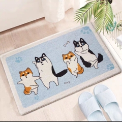 Thảm trải sàn Cashmere 40*60cm