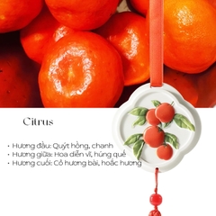 Thẻ thơm S018