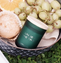 Nến thơm UNDER THE TREE 4.0 oz