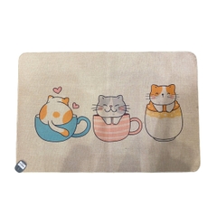 Thảm lanh sz 60*90