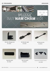 Ray nam châm nổi