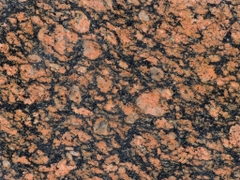 Đỏ Exotic