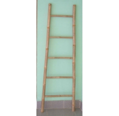 Ladder2