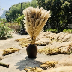 DRY PAMPAS GRASS FLOWER DECORATION