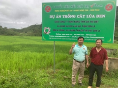 TRÀ MẦM NGŨ CỐC THẢO MỘC VFARM