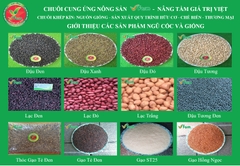 Giới thiệu các sản phẩm ngũ cốc và giống