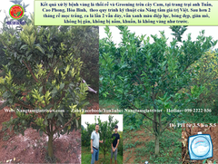 Phân bón gốc ECO Hydro - Cung cấp hữu cơ, Đạm, Protein..