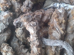 CÁC SP: CAO, TRÀ, DƯỢC LIỆU - TƯƠI, SẤY LẠNH, NGHIỀN BỘT, TINH DẦU