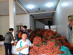 Xuất-Nhập khẩu 07