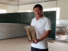 Xuất-Nhập khẩu 09