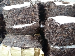 CÁC SP: CAO, TRÀ, DƯỢC LIỆU - TƯƠI, SẤY LẠNH, NGHIỀN BỘT, TINH DẦU
