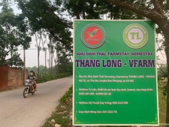 Trung tâm 29