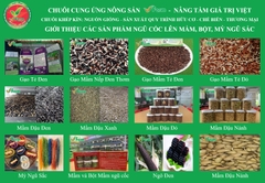 Các loại nông sản: Tươi, sấy lạnh, nghiền bột sản xuất quy trình hữu cơ