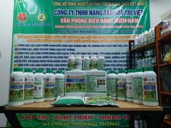 KALI SỮA ĐẬM ĐẶC