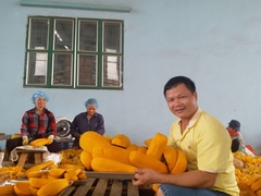 Xuất-Nhập khẩu 15