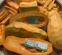 BỘT BÍ ĐỎ VFARM