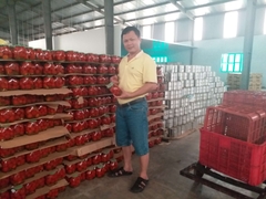 Xuất-Nhập khẩu 16