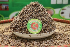 TRÀ MẦM NGŨ CỐC THẢO MỘC VFARM