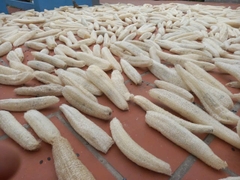 Các sản phẩm từ Sơ Mướp 02