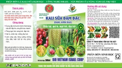 KALI SỮA ĐẬM ĐẶC