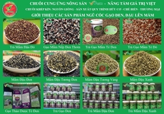 MẦM ĐẬU NÀNH VFARM