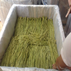 Đậu đũa muối, sản xuất theo quy trình kỹ thuật của NTGTV