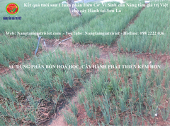 Phân bón gốc ECO Hydro - Cung cấp hữu cơ, Đạm, Protein..