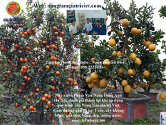 Phân bón gốc ECO Hydro - Cung cấp hữu cơ, Đạm, Protein..