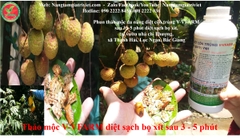 Thảo mộc đa năng diệt côn trùng V-VFARM của Nâng tầm Giá trị Việt