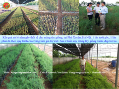 Phân bón gốc ECO Hydro - Cung cấp hữu cơ, Đạm, Protein..