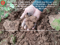 KALI SỮA ĐẬM ĐẶC
