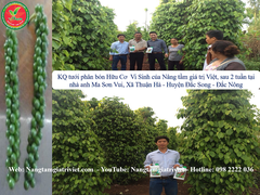 SIÊU CANXI BO ĐẬM ĐẶC