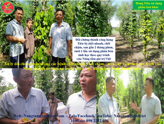 SIÊU CANXI BO ĐẬM ĐẶC
