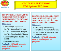 Phân bón gốc ECO Hydro - Cung cấp hữu cơ, Đạm, Protein..