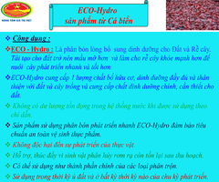 Phân bón gốc ECO Hydro - Cung cấp hữu cơ, Đạm, Protein..