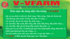 Thảo mộc đa năng diệt côn trùng V-VFARM của Nâng tầm Giá trị Việt