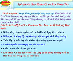 Phân bón gốc ECO Hydro - Cung cấp hữu cơ, Đạm, Protein..