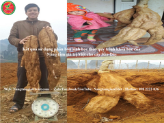 SIÊU CANXI BO ĐẬM ĐẶC