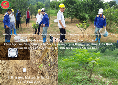 SIÊU CANXI BO ĐẬM ĐẶC
